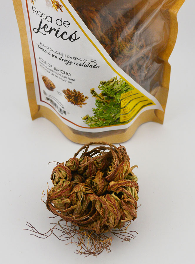 Rosa di Gerico 10g - Pianta della Risurrezione (pic 2)