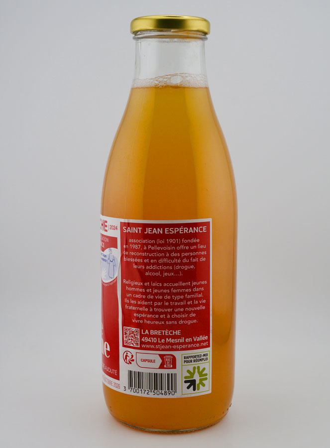 Succo di Mela Bio e Solidale 1 Litro (pic 3)