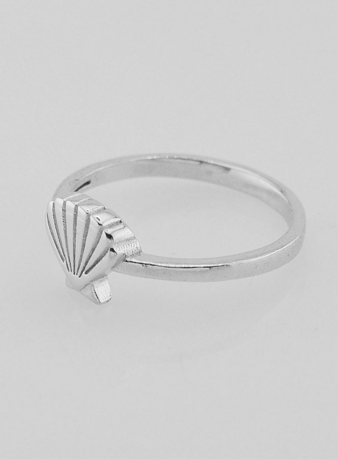 Anello Conchiglia Santiago di Compostela - T14 (pic 2)