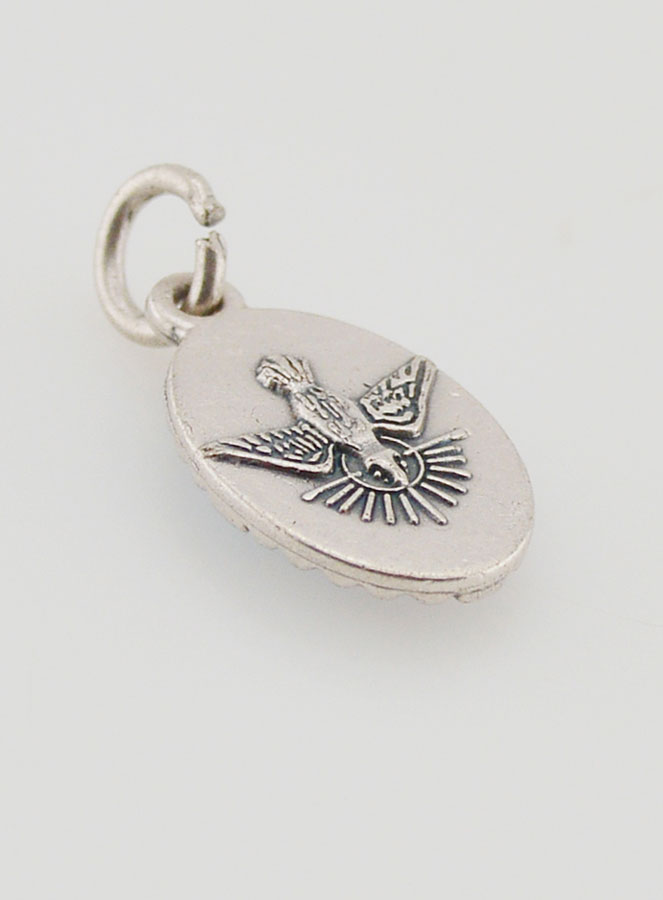 Medaglia Con Bordo 15 mm - Madonna Miracolosa (pic 4)