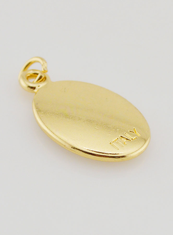 Medaglia del Papa Leone XIV - 25 mm (pic 4)