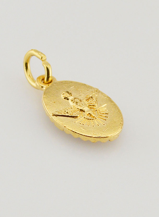 Medaglia Con Bordo 15 mm - Cristo Misericordioso (pic 4)