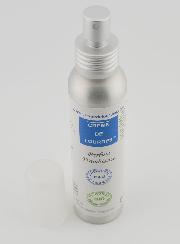 Profumo d'ambiente - Acqua di Lourdes 100ml