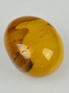 Pietra Rotolata Mokaite