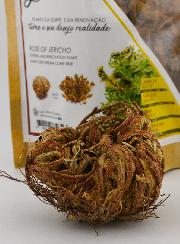 Rosa di Gerico 10g - Pianta della Risurrezione