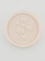 Sapone Botanico Fior di Cottone - 100g