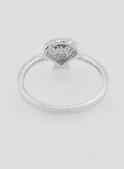 Anello Conchiglia Santiago di Compostela - T14