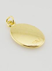 Medaglia Cristo Misericordioso Dorata - 25 mm