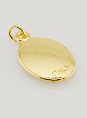 Medaglia del Papa Francesco Dorata - 25 mm