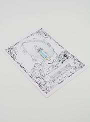 Cartolina Madonna di Lourdes