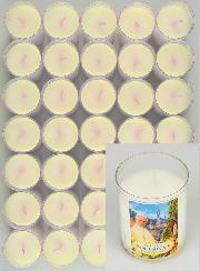 10 Candele Lumini Papa Leone XIV a Lourdes