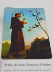 Incenso San Francesco in Coni